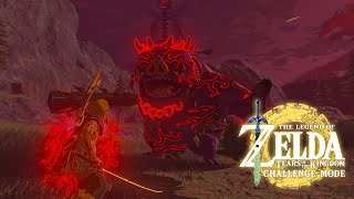 Boss Bokoblin Tyrant Totk Challenge Mode Mod