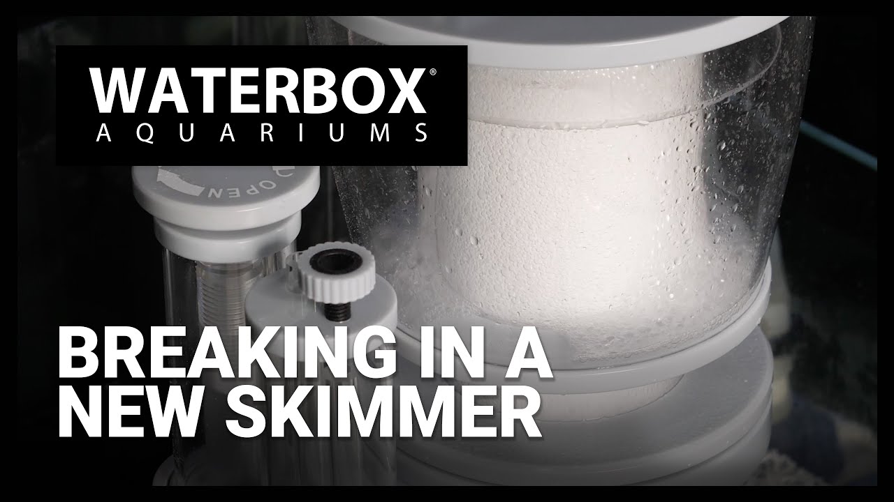 Breaking in your new protein skimmer