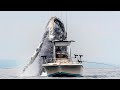 Gigantic Whale Appears out of Nowhere | Biggest Whales