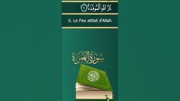 Sourate Al-Humazah | Mohammed Al-Faqih (104) سورة الهمزة | محمد الفقيه