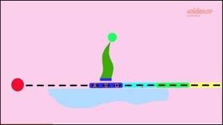 mRNA Translation