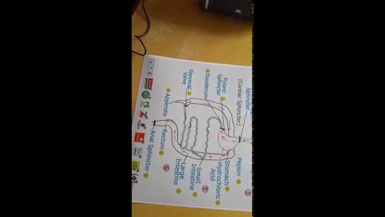 MavisLabs - New Audio Adverts & Science Talking Book Demo