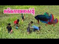 ក្មេងៗដើរជញ្ជាត់ត្រី ឃើញហើយនឹកឃើញអតីតកាលខ្លួនឯង