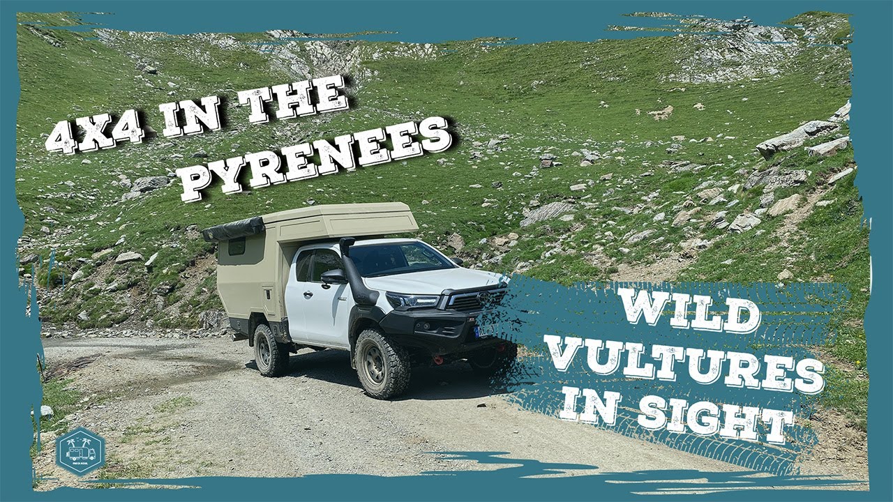 Road Trip in the Spanish Pyrenees 🚐 | Wild Camping, Vultures & Mountain Views