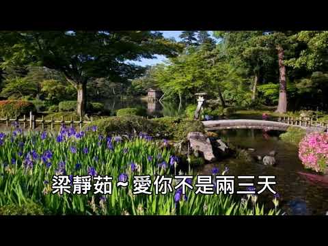 梁靜茹 ~ 愛你不是兩三天