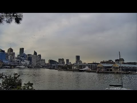 POETS Day with Swans playing the Blues tonight. This is Sydney Harbour ...