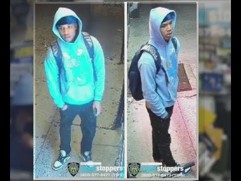 NY WebCrims:  The Shocking Rise Of WebCrims In NYC