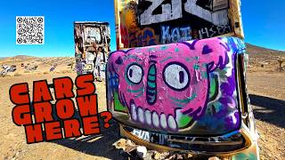 We Found a Forest Made of Cars in the Nevada Desert | Goldfield Car Forest