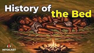 The Surprising History of the Bed || Why Humans Started Sleeping in Beds