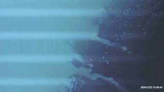 Frankenstein Vs. Baragon - Baragon Attacks The Scientists 2