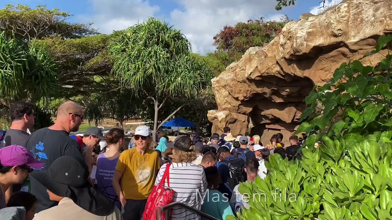 Hanauma Bay YouTube