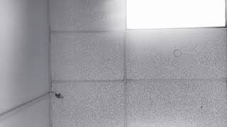 ASMR doctor’s office receptionist [soft spoken] [clicking and typing] [just audio] screenshot 2