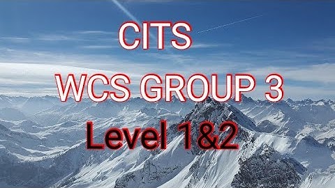 CITS WCS Group 3 Leval 1&2