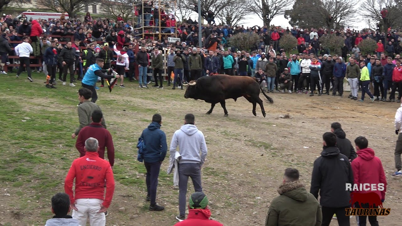CIUDAD RODRIGO (SA)-- SABADO DE CARNAVAL-- 01 DE MARZO 2025