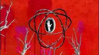 Noel Gallagher's High Flying Birds - Don't Stop... (Official Visualiser)