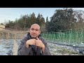 Chia sẻ cách học tín chỉ nông nghiệp và thuê đất tại Nhật Bản