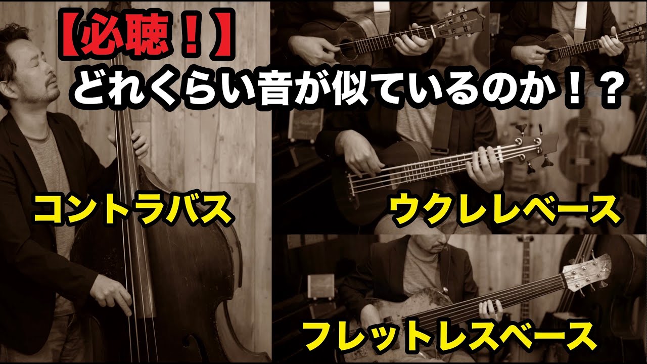ウクレレベース 音音 OTO-OTO UB-1 / FL NAM /フレットレス Amazon