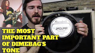THE CABINET FROM HELL - Randall Jaguar Speakers - Dimebag Tone