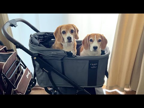 ペットカートを購入しました。一体型でコンパクトに折りたためる中型犬 ペットカートを購入しました。一体型でコンパクトに折りたためる中型犬