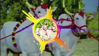 Patlacha Bailgada DJ Song | Bailgada Sharyat Song | Radha Khude Song | NS Production | DJ Abhishek🐂🐂