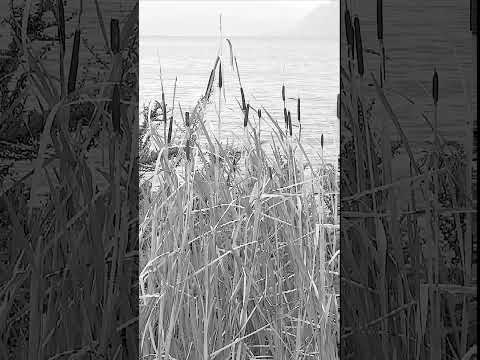 Clark - Pleen 1930's (slowed + reverb)