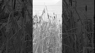 Clark - Pleen 1930's (slowed + reverb)