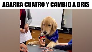 MEMES EPICOS #233