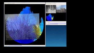 Fused visual data on LIDAR point cloud projection