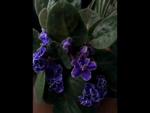 Настоящий Источник ДОБРА!