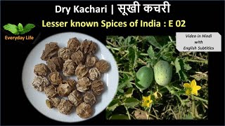 Dry Kachari | सूखी कचरी  | Kachari | Lesser known Spices of India: EP 02 | Everyday Life #09