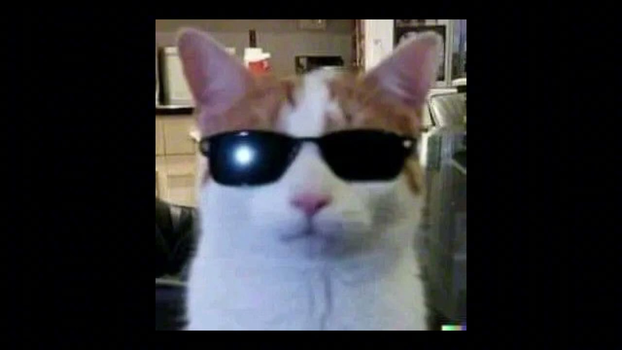 MaxNormal.TV / Die Antwoord - Tik Tik Tik [sped up/nightcore]