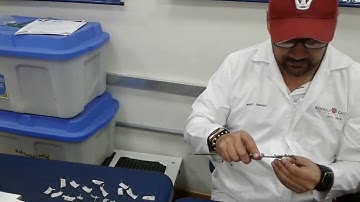 componente practico  gestion de calidad