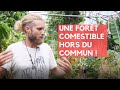 L'INCROYABLE FORÊT COMESTIBLE aux 1000 plantes et arbres