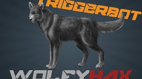 [CS:GO] WolfyHax TriggerBot #3 (Gameplay by cheeseygrapes)