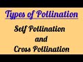 Ch - 2 | Types of Pollination | UP Board | Class - 12th Biology 