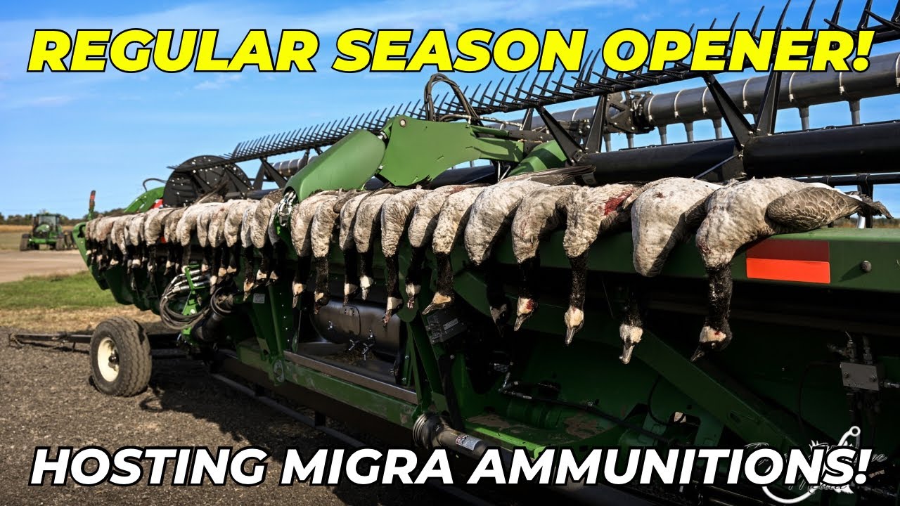 Michigan Field GOOSE HUNT! | Field Hunting With Migra Ammuntions