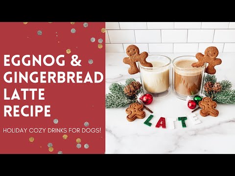Eggnog Latte & Gingerbread Latte Recipe For Dogs 🎅🎄 DIY Starbarks Inspired Holiday Drinks
