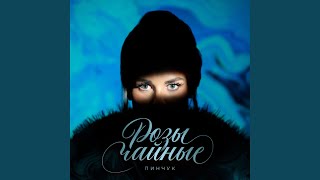 Download Lagu Розы чайные Download Lagu Розы чайные