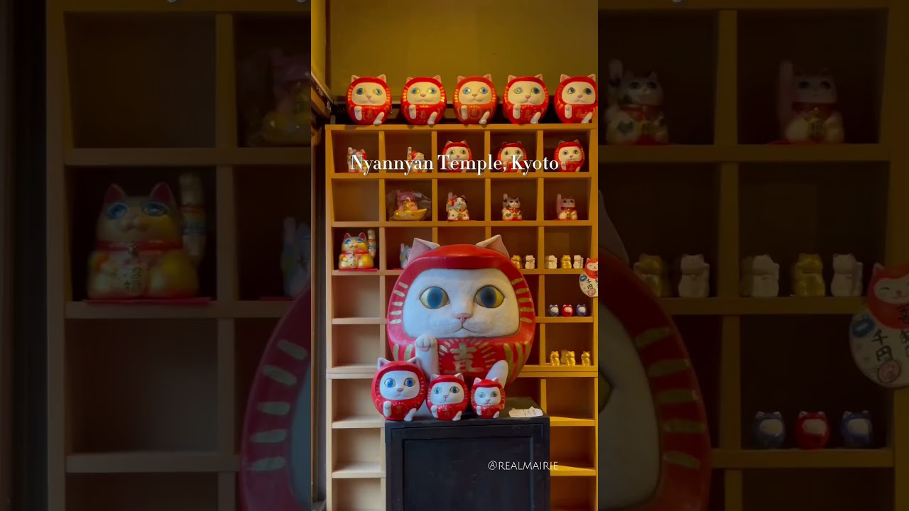 Cat destinations in Japan 🐈 