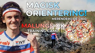 ORIENTEERING TRAINING CAMP TENERIFE | MAGISK ORIENTERING!