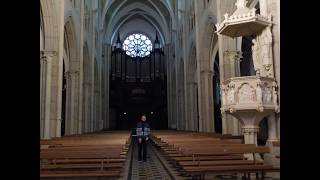 Litanies de St Jean Baptiste - Rémi Blanchet au Grand Orgue Merklin - Bourgoin-Jallieu