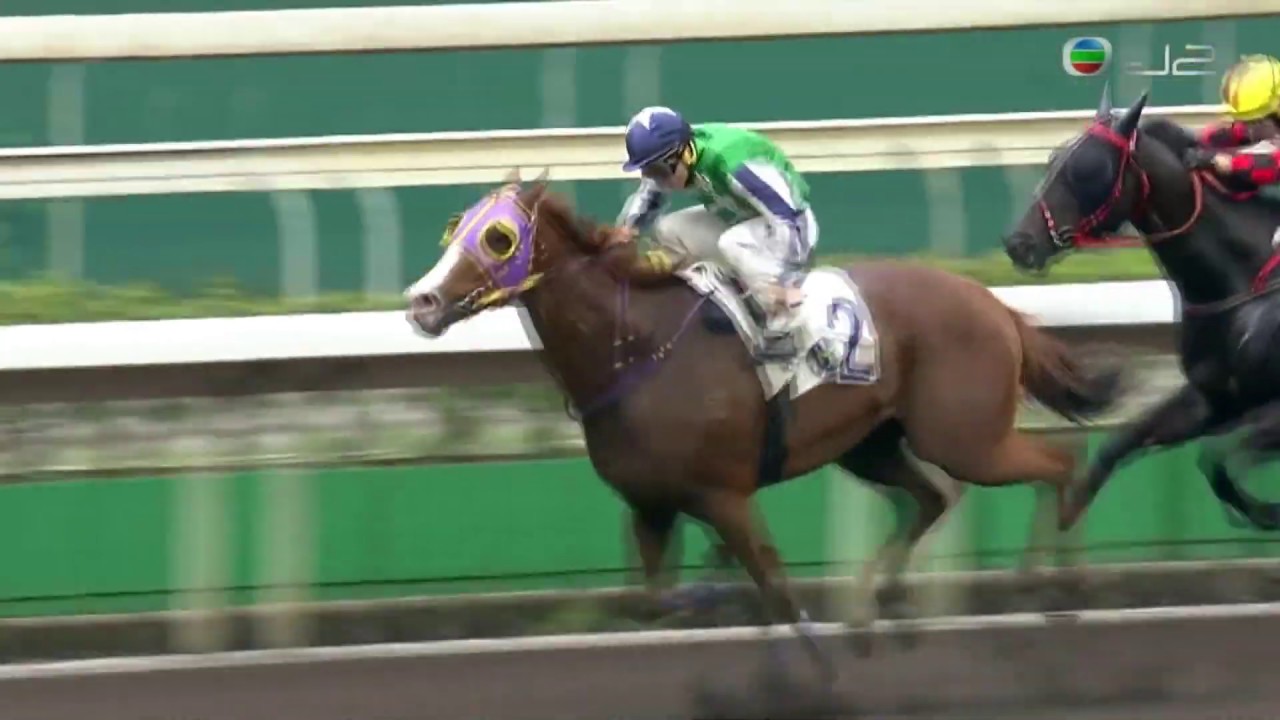 2016/17 (667) - Star Of Yan Oi (仁愛之星) - 潘明輝