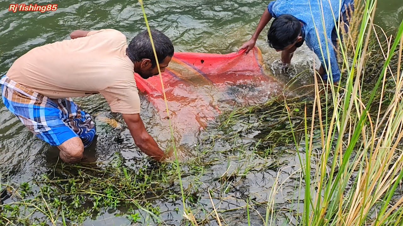 After the water came, the fish were added पानी पड़ने के बाद जोआई थी मछलियों और हम चले गए उसे पकड़ने