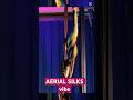 Aerial Silks Competition Performance | Szarfy Akrobatyczne ✨ Calm & Grace Zuza Niedzielska