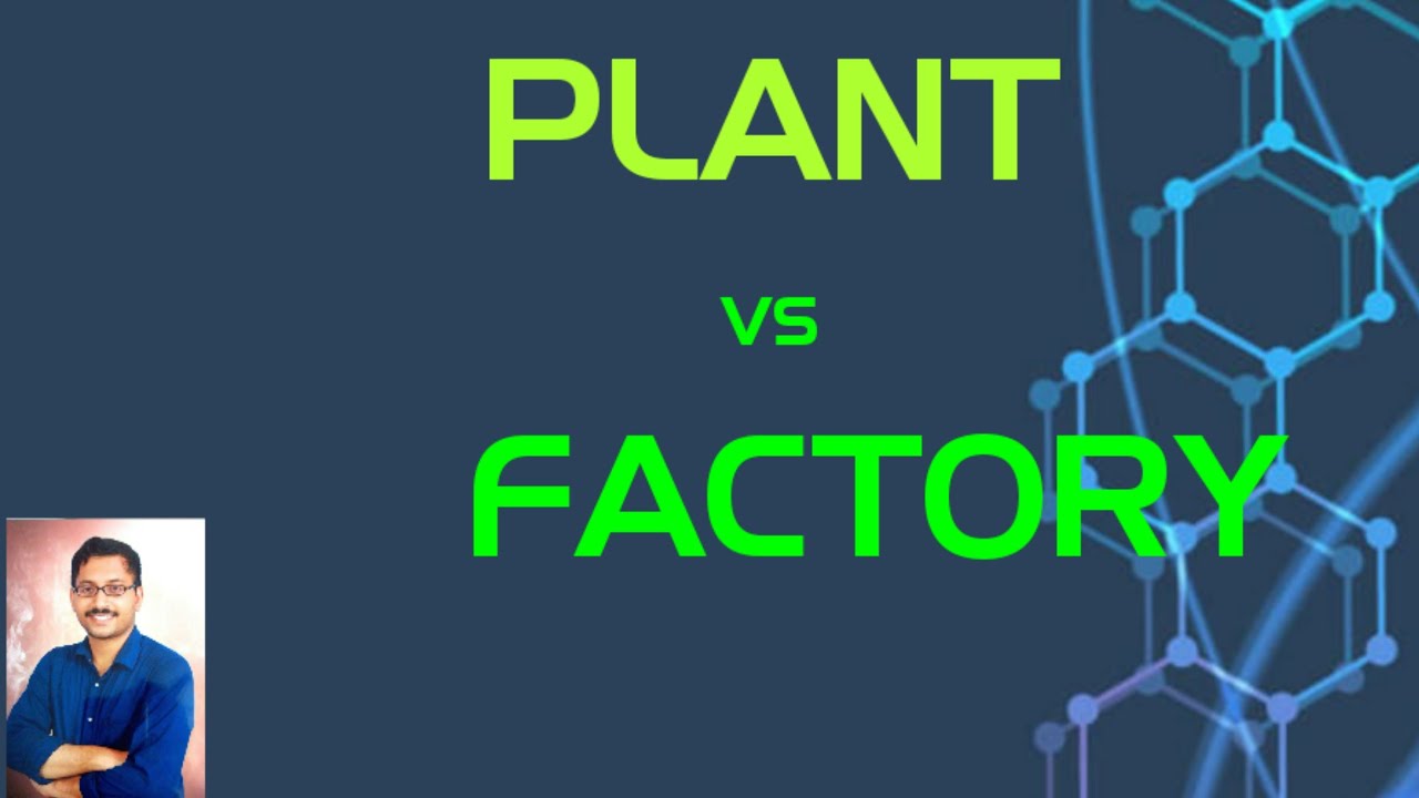 Plant vs Factory YouTube
