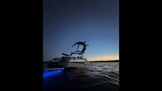 No Lie X Adventure Of A Lifetime