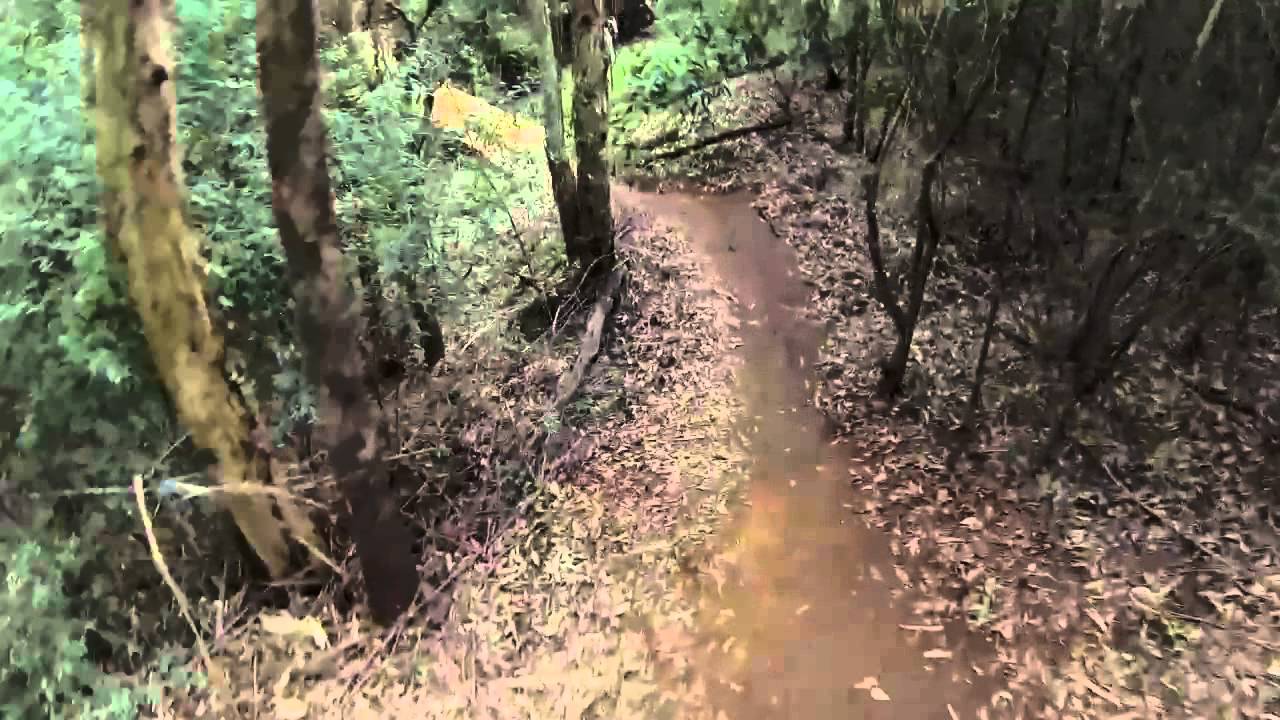 Mt Annan MTB Track