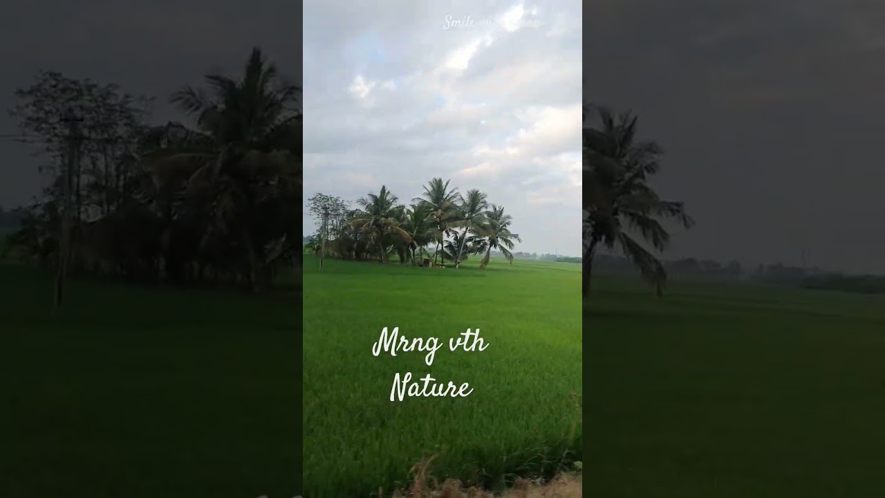 mrng vibe vth nature 🏞️ 