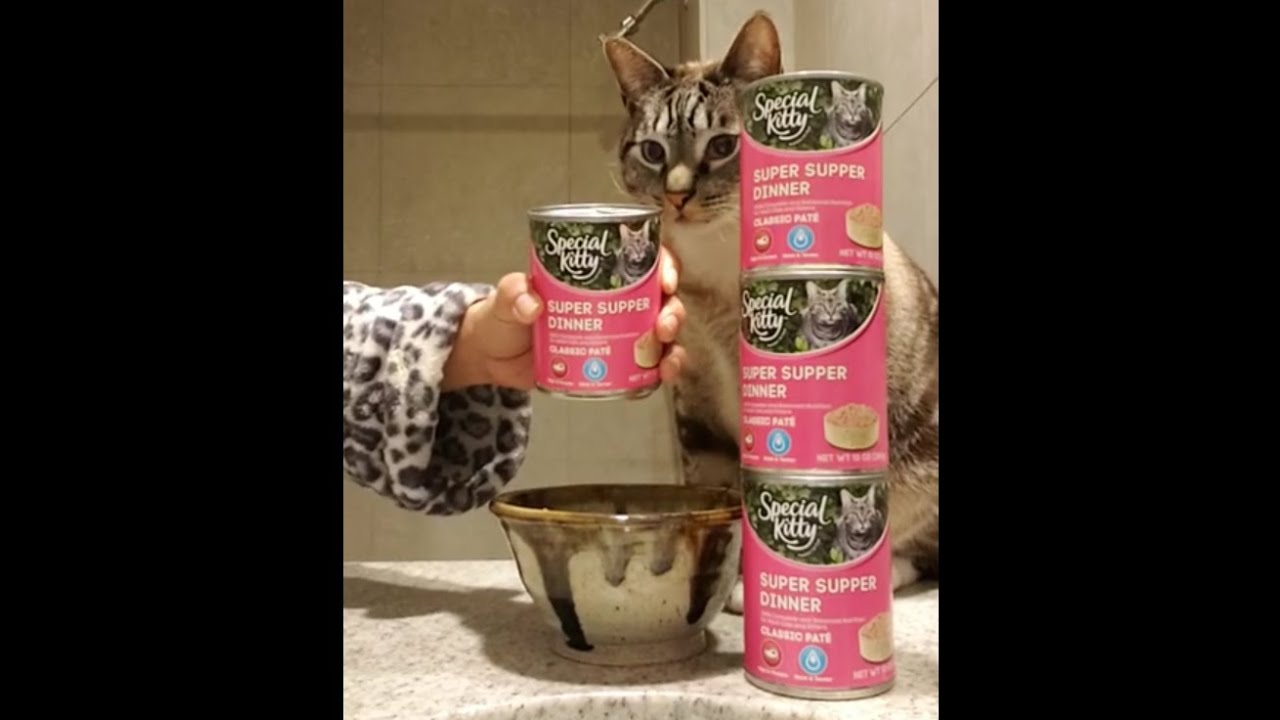 special kitty pate