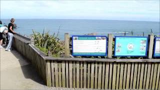 Wesport To Greymouth - Everydaysomewhere